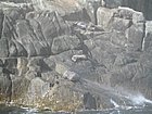 IMG_1002.JPG
