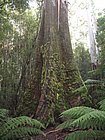 IMG_1014.JPG