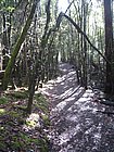 IMG_1015.JPG