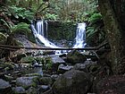 IMG_1016.JPG
