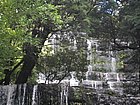 IMG_1018.JPG
