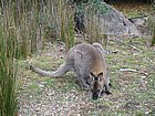 IMG_1029.JPG