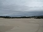 IMG_1035.JPG
