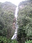 IMG_1041.JPG