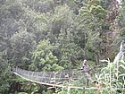 IMG_1045.JPG