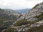 IMG_1048.JPG
