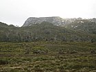 IMG_1053.JPG