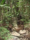 IMG_1057.JPG
