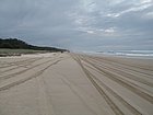 IMG_1065.JPG