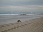 IMG_1076.JPG