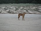IMG_1077.JPG
