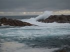 IMG_1087.JPG