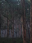 IMG_1095.JPG