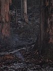 IMG_1096.JPG