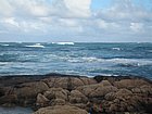 IMG_1098.JPG