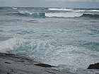 IMG_1100.JPG