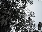 IMG_1102.JPG