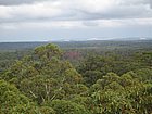 IMG_1106.JPG