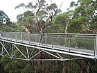 IMG_1115.JPG