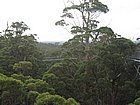 IMG_1116.JPG