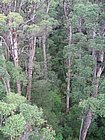 IMG_1117.JPG