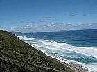 IMG_1126.JPG