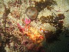 IMG_1144.JPG