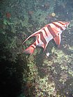 IMG_1151.JPG
