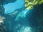 IMG_1161.JPG