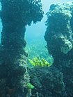 IMG_1162.JPG
