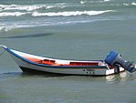 IMG_0031.jpg