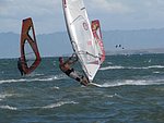 IMG_0130.jpg