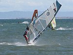 IMG_0133.jpg