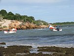IMG_0137.jpg