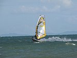 IMG_0140.jpg