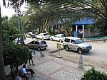 IMG_0165.jpg