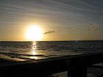 IMG_0273.jpg