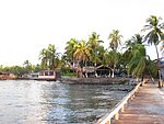 IMG_0278.jpg