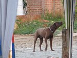 IMG_0300.jpg