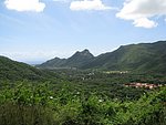 IMG_0312.jpg