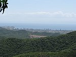 IMG_0316.jpg
