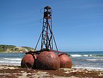 IMG_0333.jpg