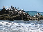 IMG_0337.jpg