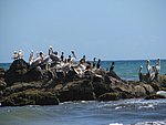 IMG_0339.jpg