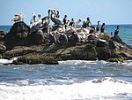 IMG_0341.jpg