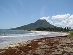 IMG_0343.jpg