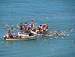 IMG_0344.jpg