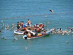 IMG_0345.jpg