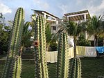 IMG_0423.jpg