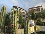 IMG_0425.jpg